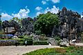 Shilin, Yunnan 24735