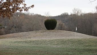 Short Woods Park Mound.jpg