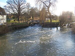 Sluice on Great Stour - geograph.org.uk - 1154923