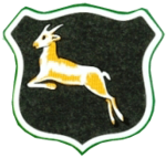 Springboks logo first