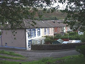 Thomas's Place, Ynyshir - geograph.org.uk - 952420.jpg