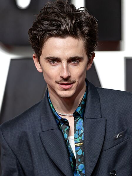 Timothée Chalamet 2025 2 (cropped)
