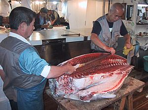 Tsukiji fish market thuna knife