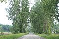 Tuttle hill road london twp. michigan