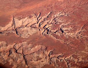 Upper Robbers Roost Canyon UT