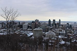 View of Montreal in winter from Mount Royal