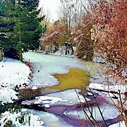 Villeneuve d'Ascq.- Hiver 2013 dans le Parc du Héron