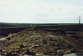 Photograph of Wade's Causeway, taken in approximately 1985, showing the structure to be heavily covered in grass but many stones still visible