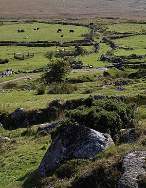 Whiteworks - geograph.org.uk - 1501034.jpg