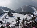 Winter 2014 Candidate City- PyeongChang Dragon Valley ski resort