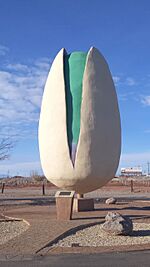 World's Largest Pistachio