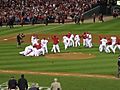 World Series 2011 Cardinals Victory Pile