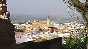 View of Osuna