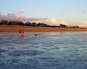 Aldwick Beach - geograph.org.uk - 720229
