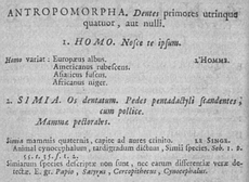 Antropomorpha12c
