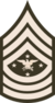 Army-USA-OR-09-SEAC (Army greens).svg