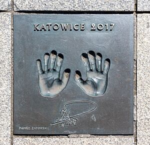 At Katowice 2024 293