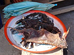 Barbecued Bat at Udomxai Bus Station in Laos
