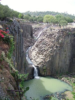 Bazaltprismoj hidalgo