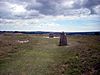 Beacon Hill trig point, South Harting 01.JPG