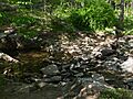 Billy Goat B Trail 8
