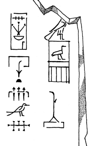 BirdFraegment