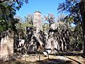 Bulow Plantation Ruins HSP - Ruins