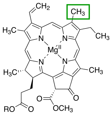 C-3 position Chlorophyll a