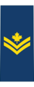 Canadian Air Command (1984-2014) OR-5.svg