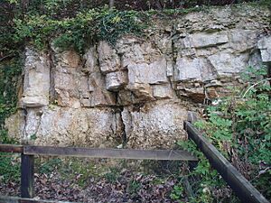 Cliff in Kirtlington quarry - geograph.org.uk - 636277