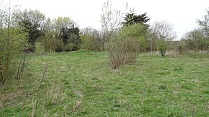 Cuddington Meadows 3