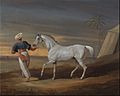 David Dalby of York - Signal, a Grey Arab, with a Groom in the Desert - Google Art Project