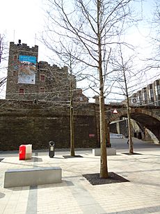 Derry walls and tower museum