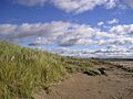 Dunes - geograph.org.uk - 64810