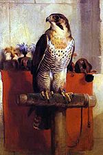 Edwin Landseer. Falcon