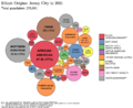 Ethnic Origins in Jersey City