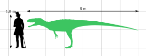 Eustreptospondylus Size Comparison by PaleoGeek