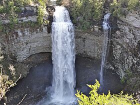 Fall Creek Falls.jpg