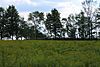Field in Northmoreland Township, Wyoming County, Pennsylvania.jpg