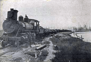 Finkbine Lumber Company Log Train 1910