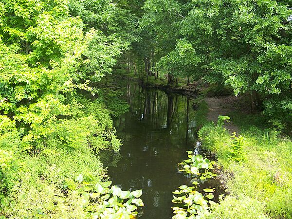 Florida Waccasassa River01