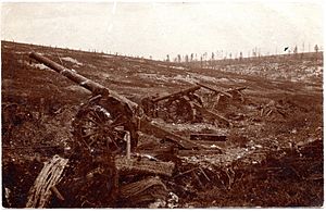 Frech long gun battery overrun at Verdun (alternate view)