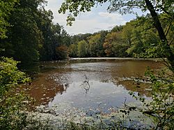 Freneau Woods Pond