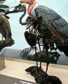 Giant Condor
