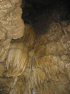 Inside the Oregon Caves