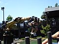 Knights' Tournament (3) (3838050201)