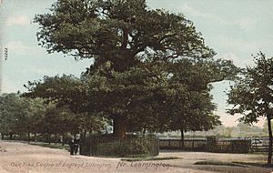 Lillington Midland Oak 1909