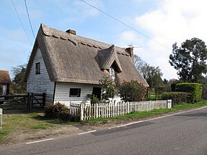 Little Savages - geograph.org.uk - 2865977