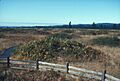MIMA MOUNDS