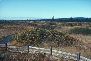 MIMA MOUNDS